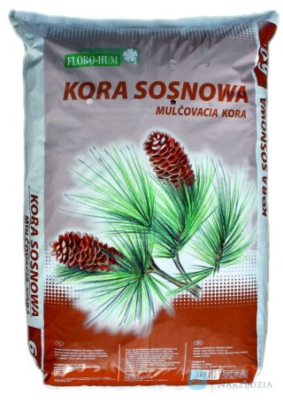 KORA - SOSNOWA - 60 L. UN