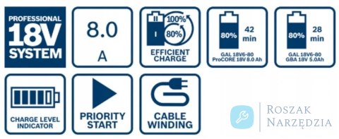 SZYBKA ŁADOWARKA GAL 18V6-80, 6-PORTÓW ŁADOWANIA BOSCH