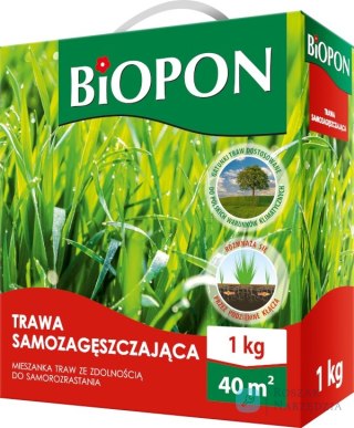 TRAWA SAMOZAGĘSZCZAJĄCA 1 KG BIOPON