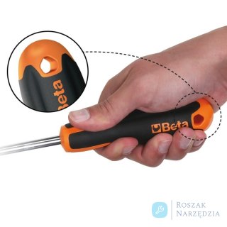 Wkrętak Evox TORX T20x100 mm, 1207E/TX Beta