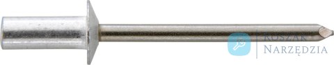 Nit 1-str.zam.CAP,al./VA,leb plas.-okr. 4,8x11mm GESIPA (1000 szt.) Nit 1-str.zam.CAP,al./VA,leb plas.-okr. 4,8x11mm GESIPA (1000 szt.)
