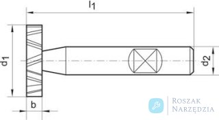 Czop prowadzacy, wielkosc 01, 2,9mm GFS