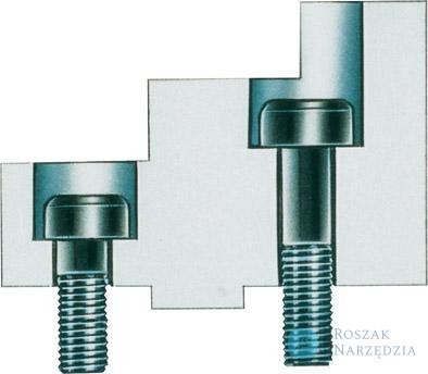 Sruba mocuj.szczęki nasadzanej, wlk.500/630 M20x40 RÖHM