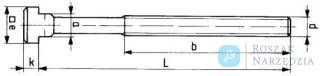 Śruba do wpustów teowych (komplet) DIN787 M16x18x63mm AMF